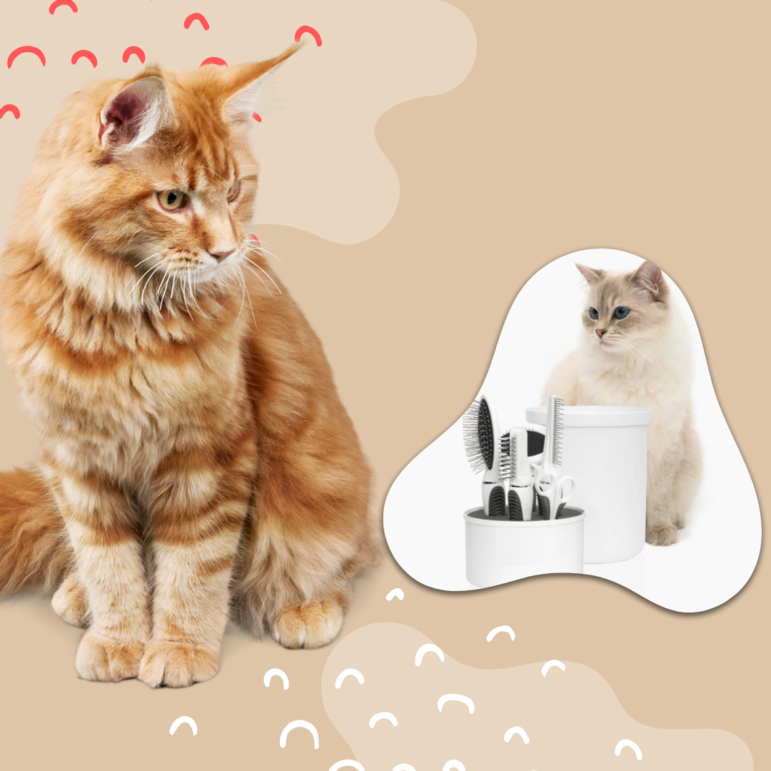 Cat grooming tools