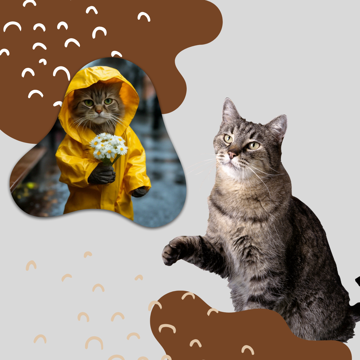 Cat rain coat