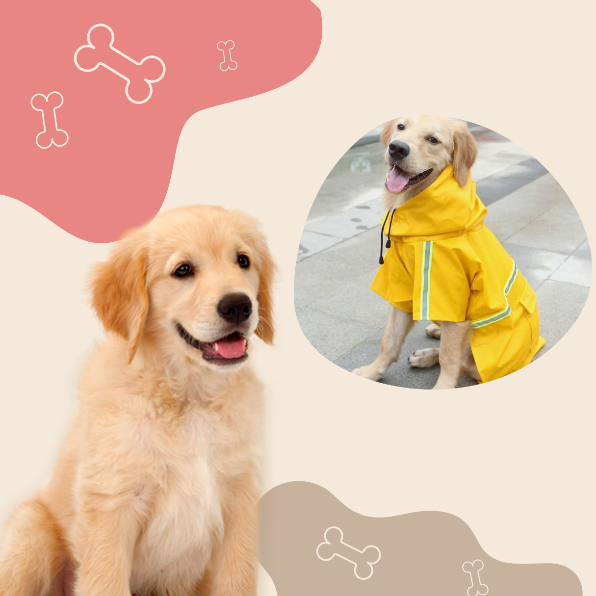 Dog rain coat